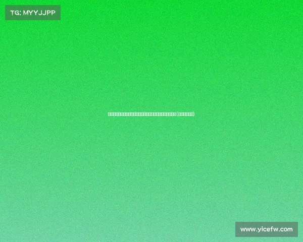 沪记上海队已全面投入正式对抗训练,引援工作同步进行备战(上海队的比赛)